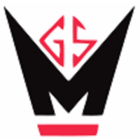 George S Maier Co